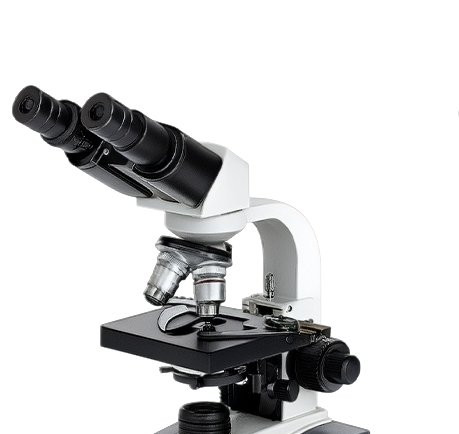 กล้องจุลทรรศน์สองตา Xenon VB-F6ML