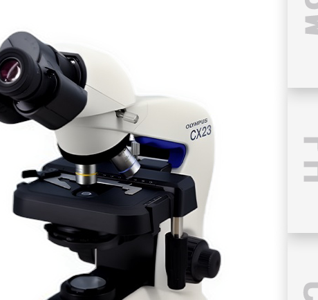 กล้องจุลทรรศน์สองตา Olympus CX23