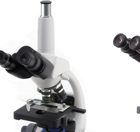 กล้องจุลทรรศน์สามตา Optika B-192PLi
