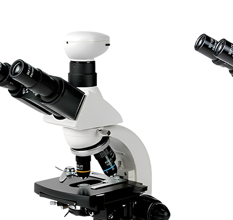 กล้องจุลทรรศน์สามตา Xenon VB-125EP