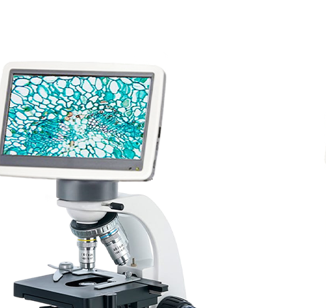 กล้องจุลทรรศน์สามตา Xenon VB-167S