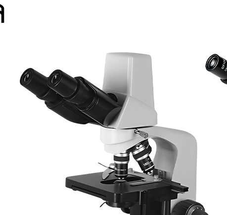 กล้องจุลทรรศน์สามตา Xenon B-117MS