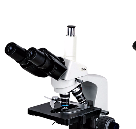 กล้องจุลทรรศน์สามตา Xenon N-117T