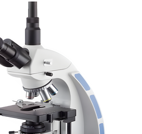 กล้องจุลทรรศน์สามตา Xenon XSZ-146T