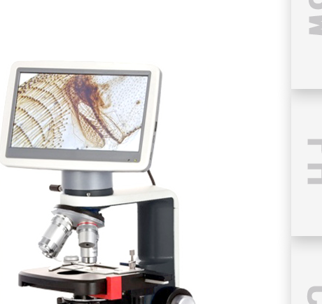 กล้องจุลทรรศน์สามตา Xenon EX-800LCD (มีจอ LCD)