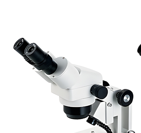 กล้องจุลทรรศน์สเตอริโอซูม Xenon SZMW