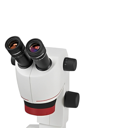 กล้องจุลทรรศน์สเตอริโอ Labomed Luxeo 2S