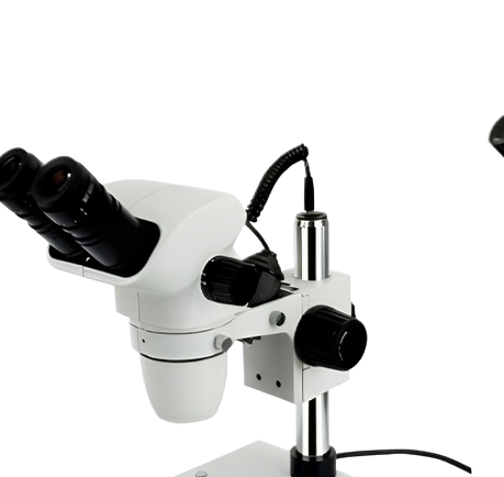 กล้องจุลทรรศน์สเตอริโอซูม Xenon STA
