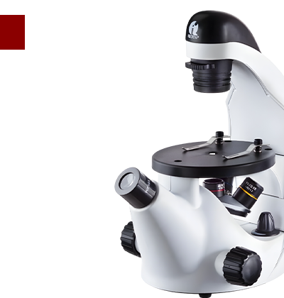 กล้องจุลทรรศน์หัวกลับ 320X สำหรับนักเรียน