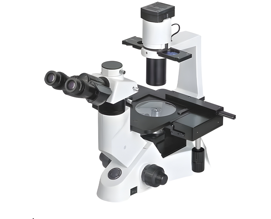 กล้องจุลทรรศน์หัวกลับ Xenon NIB-100